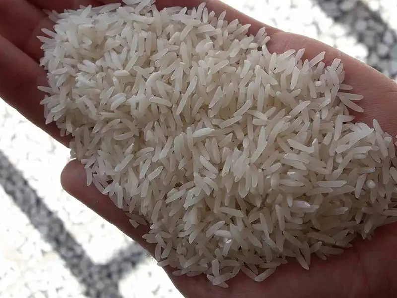 خرید برنج فجر