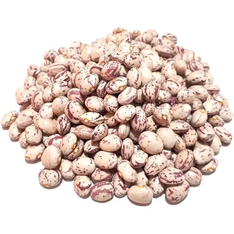 لوبیا چیتی