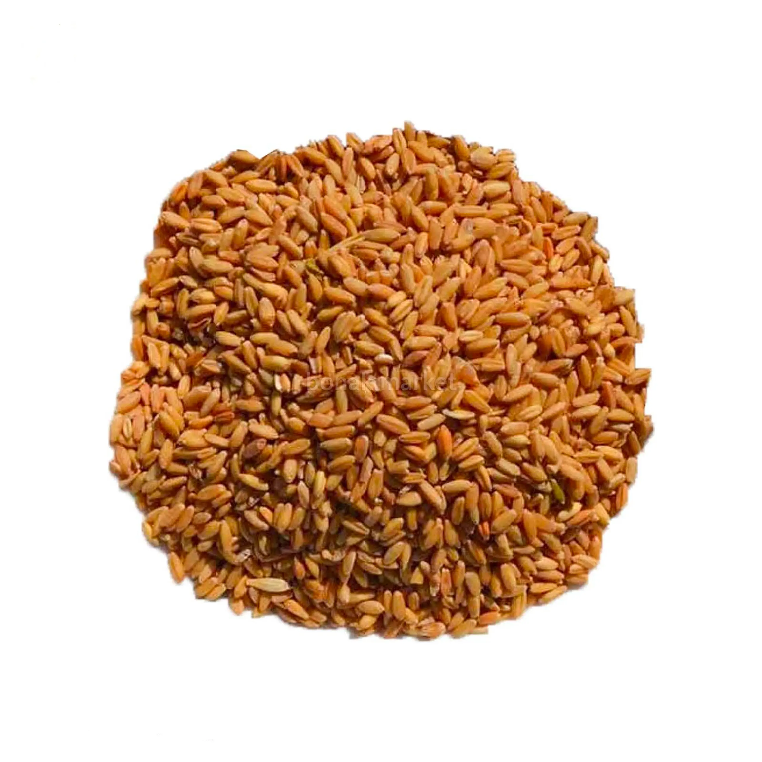 گندم مرغی