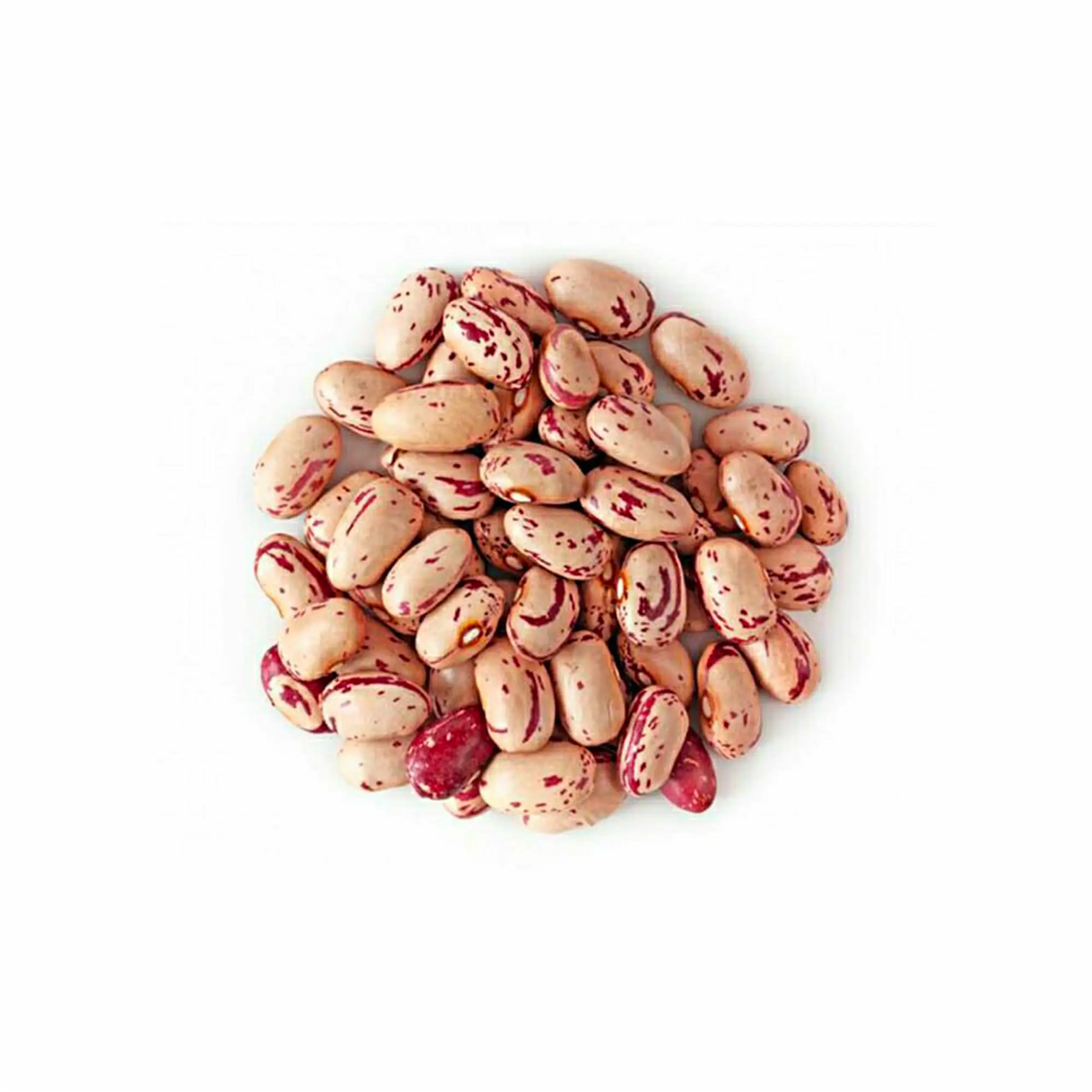 لوبیا چیتی خارجی